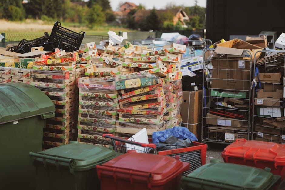 The image depicts an outdoor area with numerous stacks of empty cardboard fruit packaging trays, primarily made of brown and white cardboard with colourful printed labels, arranged on a paved surface. Surrounding the stacks are various waste bins, including green, red, and grey containers, some with lids closed and others open, indicating separate waste collections. To the right, there are metal wire cages filled with assorted cartons, boxes, and packaging materials, all appearing to be cardboard or paper-based waste, some with labels and barcodes visible. In the background, a spacious open environment with a grassy field, trees, and residential buildings can be seen under natural daylight, suggesting a clear day. The scene is consistent with a private waste disposal setup, possibly for on-site rubbish clearance, often handled by local waste removal services such as Waste Disposal Twickenham. The arrangement presents an organized but busy scene of waste segregation and collection preparation, aligning with alternative rubbish removal methods outside traditional council collections.